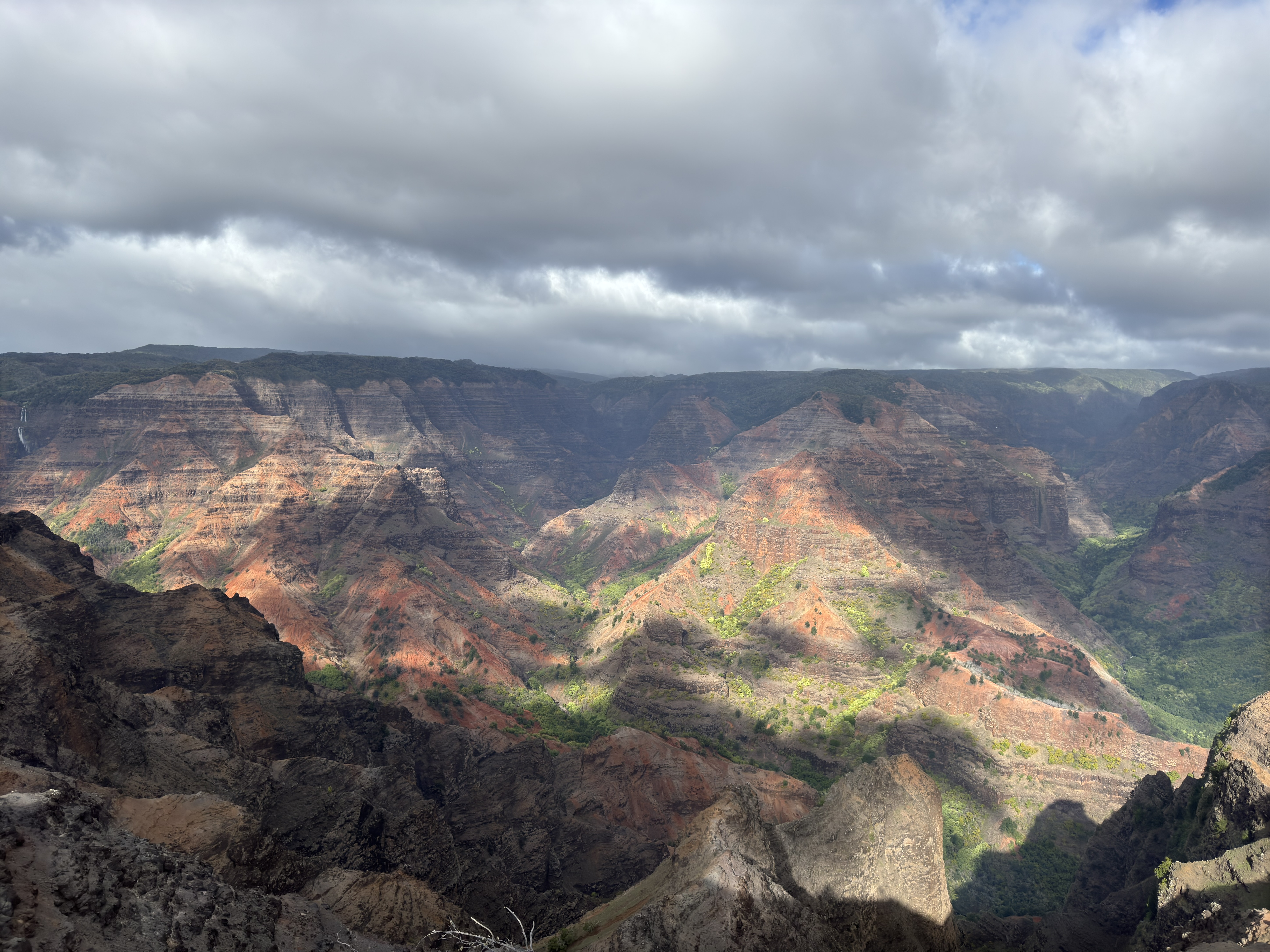 Another angle showcasing the depth and colors of Waimea Canyon.